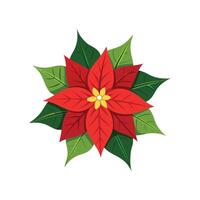 Elegant Poinsettia Plant Design vector