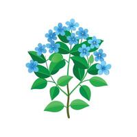 Stylish Plumbago Auriculata Flower Design vector