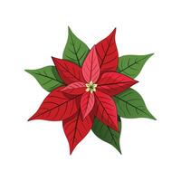 Charming Euphorbia Pulcherrima Leaf Artwork vector