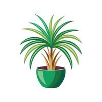 Stylish Ponytail Palm Leaf Design vector
