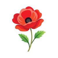 Stylish Poppy Flower Graphic Design vector