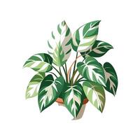 Charming Snow Queen Pothos Leaf Design vector