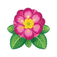 Stylish Primula Flower Design vector