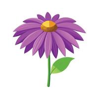 Stylish Purple Coneflower Plant Design vector