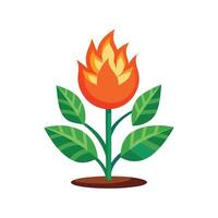 Charming Pyromania Plant Graphic vector