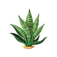 Stylish Calathea Lancifolia Leaf Design vector
