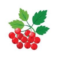 Charming Ribes Rubrum Leaf Artwork vector