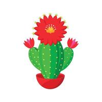 Elegant Red Flowered Cactus Echinopsis vector