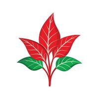 Elegant Hemigraphis Leaf Design vector