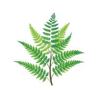Unique River Fern Plant Design vector