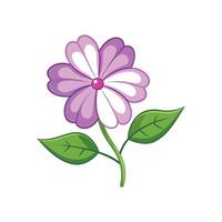 Elegant Rosy Periwinkle Plant Design vector