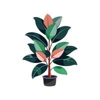 Elegant Rubber Plant Design vector