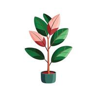 Unique Rubber Plant Design vector