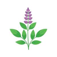 Vibrant Salvia Plant Artwork vector