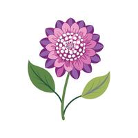 Elegant Scabiosa Plant Artwork vector