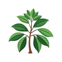 Stylish Amate Schefflera Design vector
