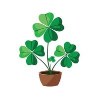 Elegant Oxalis Triangularis Illustration vector