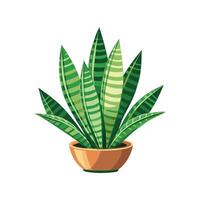 Elegant Trifasciata Snake Plant Visual vector