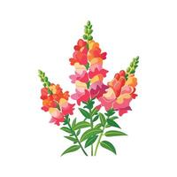 Charming Snapdragons Design vector