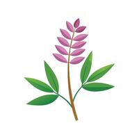 Stylish Soleirolia Artwork vector