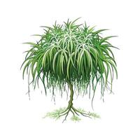 Artistic Representation of Tillandsia Usneoides vector