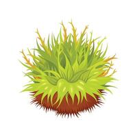 Charming Sphagnum Moss for Creative Use vector
