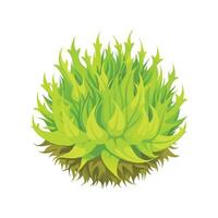 Artful Representation of Sphagnum Moss vector