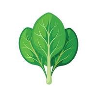 Artistic Spinach for Culinary Creations vector