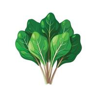 Charming Spinach for Healthy Living vector