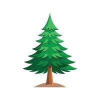 Charming Spruce for Natural Aesthetics vector