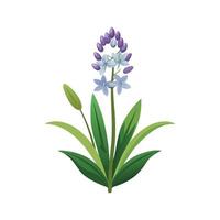 Artful Squill for Creative Projects vector