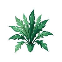 Beautiful Staghorn Fern for Nature Projects vector
