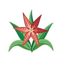 Unique Starfish Plant for Creative Projects vector