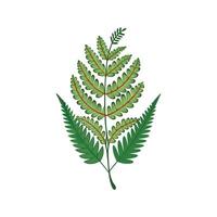 Charming Stitching Fern for Artistic Uses vector