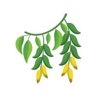 Beautiful String of Bananas for Nature Lovers vector