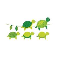 Stylish String of Turtles for Nature Lovers vector