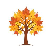 Stylish Sugar Maple Design Artwork vector
