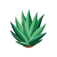 Artistic Aloe Succulent for Creative Projects vector