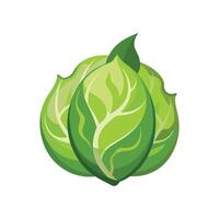 Charming Surinam Cabbage for Nature Art vector