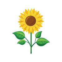 Artful Sunflower Plant for Unique Aesthetics vector