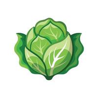Artful Surinam Cabbage for Creative Projects vector