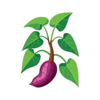 Beautiful Sweet Potato Vine for Unique Aesthetics vector