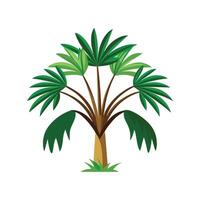Charming Tacca Palm for Unique Aesthetics vector