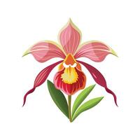 Artful Terrestrial Orchid for Creative Projects vector
