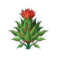 Charming Euphorbia for Unique Decor vector