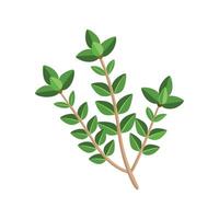 Artful Thymus Vulgaris for Creative Projects vector