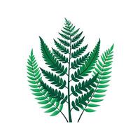 Artful Tiger Fern for Nature Lovers vector