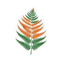 Stylish Tiger Fern for Creative Projects vector