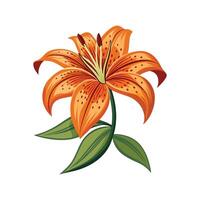 Charming Tiger Lily for Unique Art vector