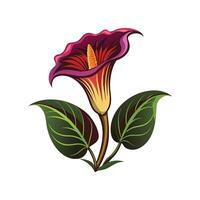 Elegant Titan Arum for Unique Aesthetics vector